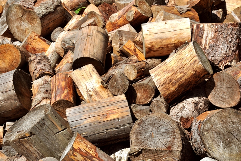 sušení dřeva, dřevo na topení, jak usušit dřevo, skladování dřeva, palivové dříví