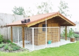 Picture 4